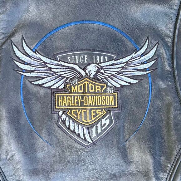 Harley Davidson 115th Anniversary Black Leather Buffalo Hide Women Jacket Large - Picture 3 of 11